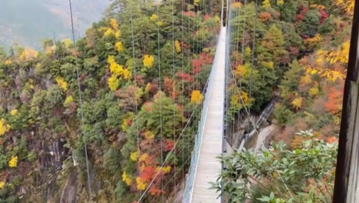 白水滝の吊り橋