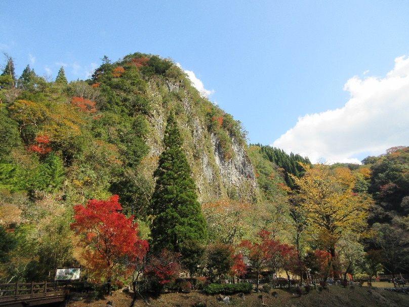 秋の紅葉（公園全景）